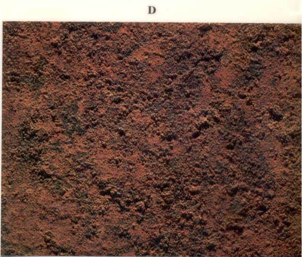 钢板abcd四个等级,冲砂与打磨视频文字照片描述